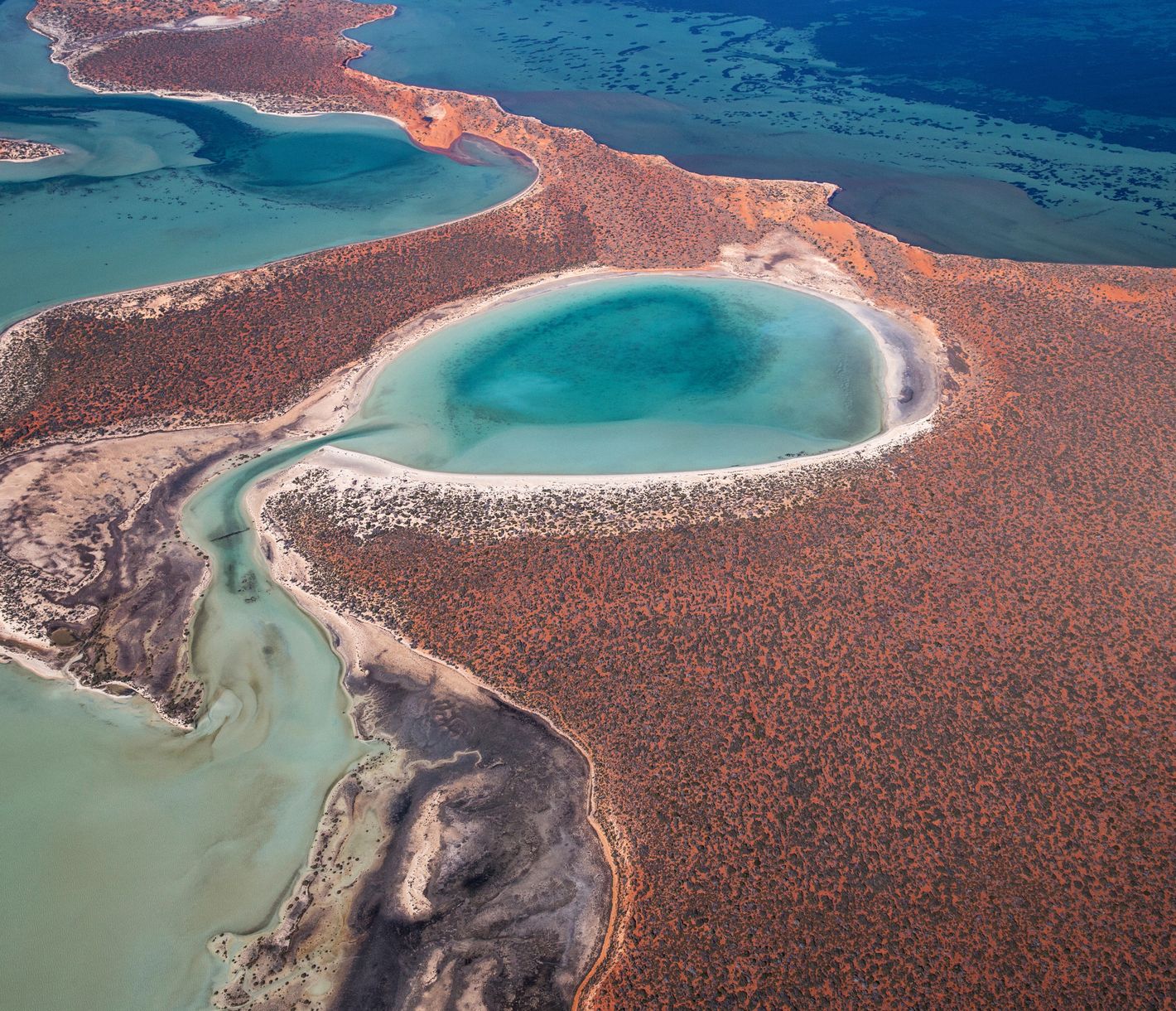 Eine fantastische Palette