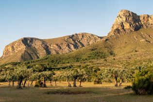 Naturpark Llevant, Mallorca
