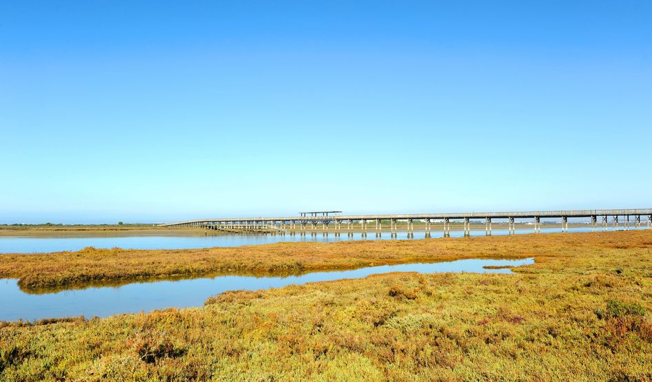 Naturpark Los Toruños