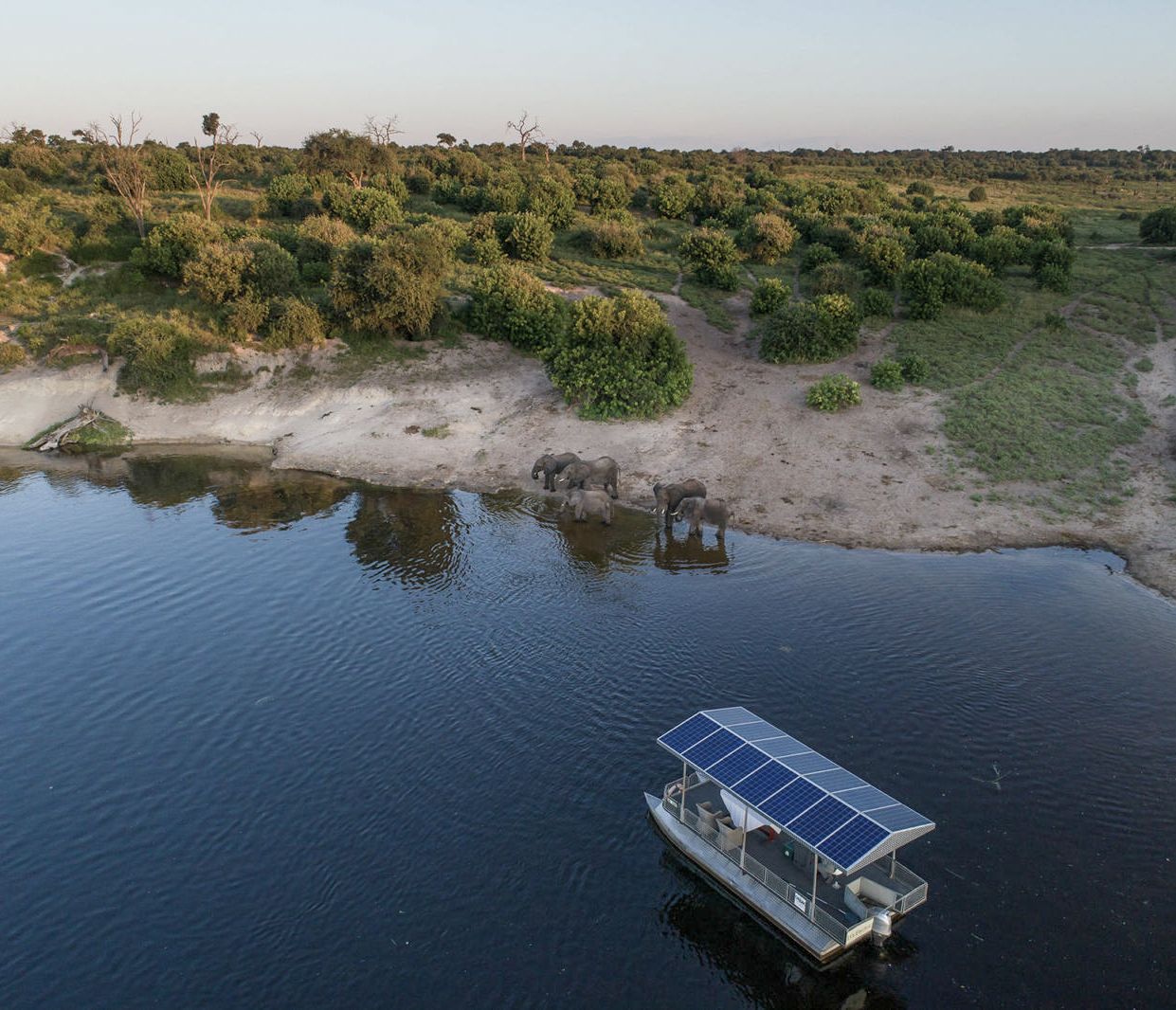 Bateaux et véhicules électriques, équipe de guides entièrement féminine : le Chobe Game Lodge est un modèle d'innovation !