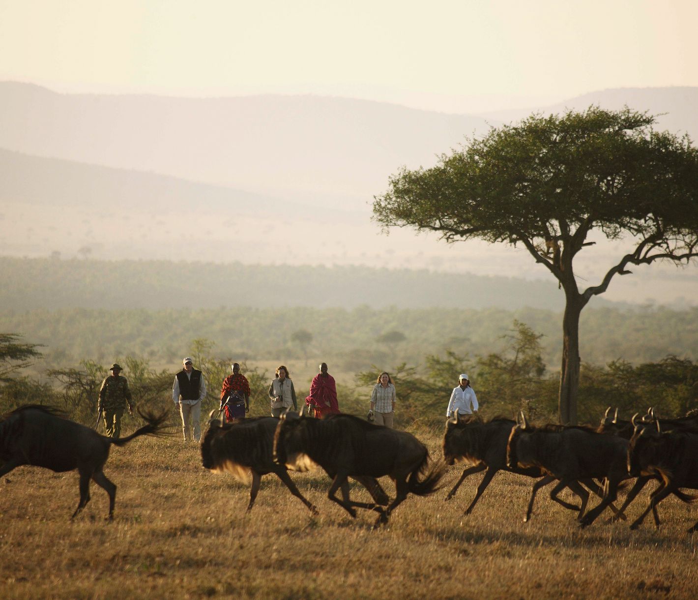 Die 2-tägige Fusssafari bringt Sie in Einklang mit der Natur.