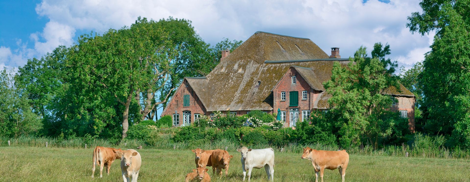 Traditioneller Haubarg