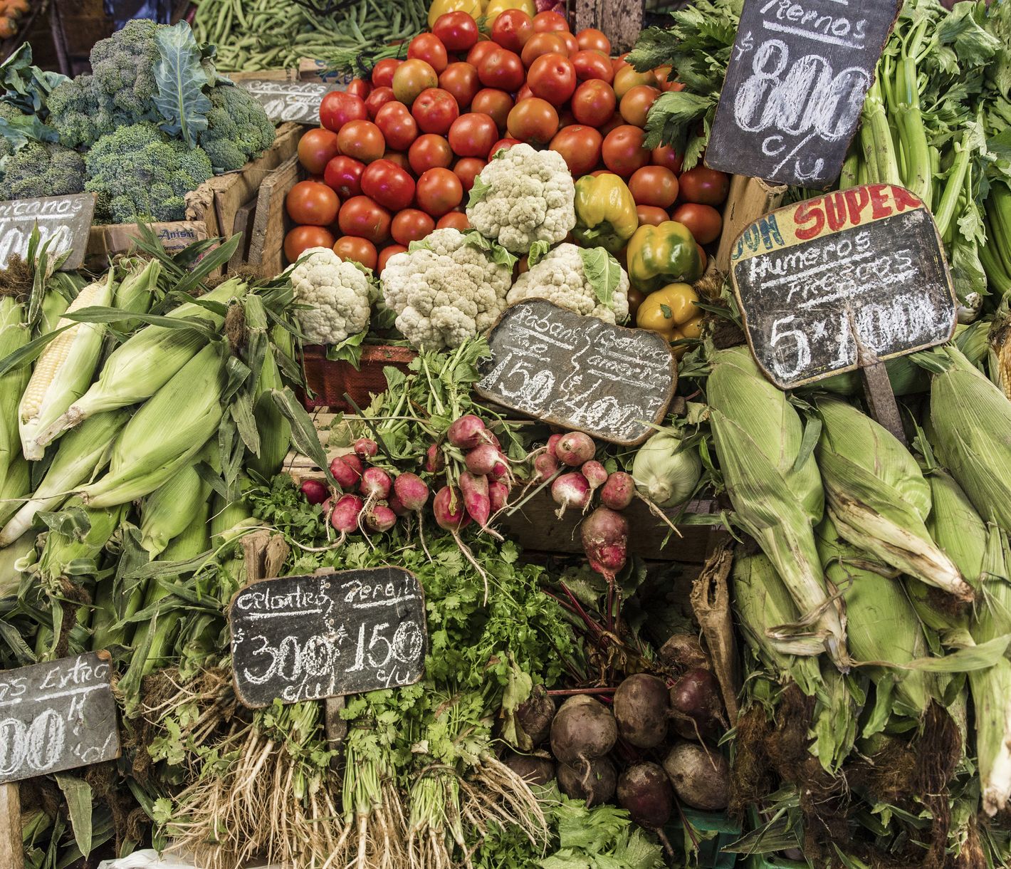 Valparaiso – Hafen- und Kulturstadt