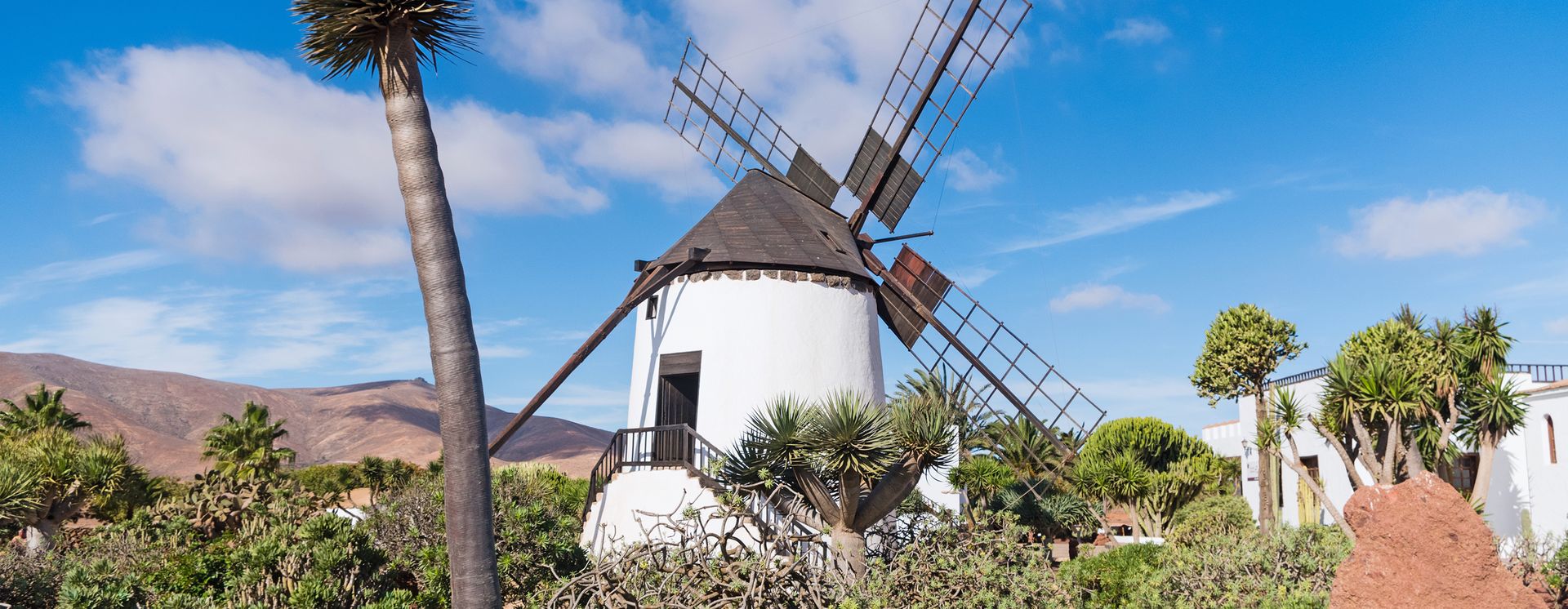 Traditionelle Windmühle in Antigua