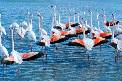 13. Bild der Unterkunft