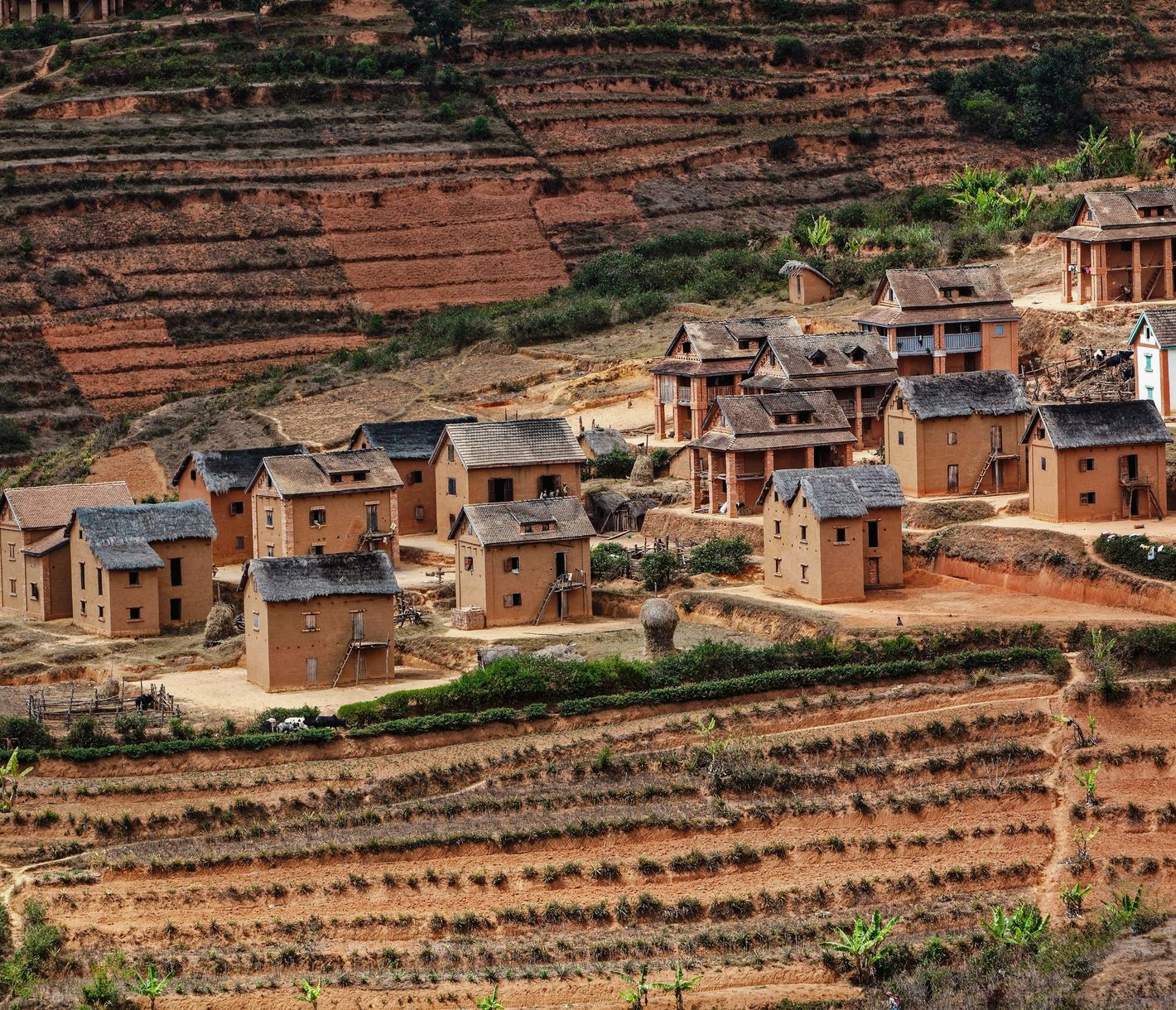 Traditionelle Häuser der Betsileo zwischen Reisterrassen