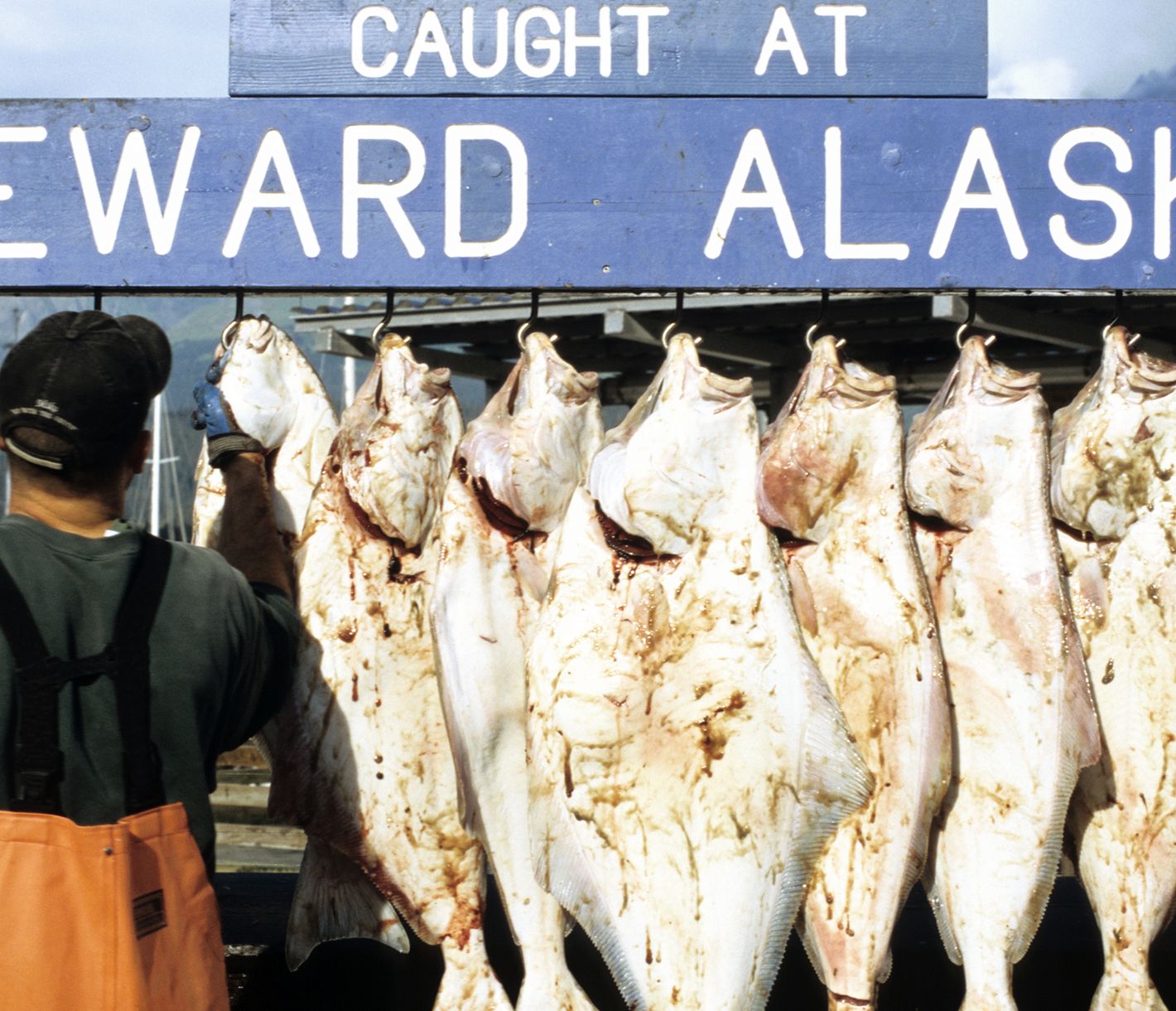Die Fischerei ist ein zentraler Bestandteil von Alaska.