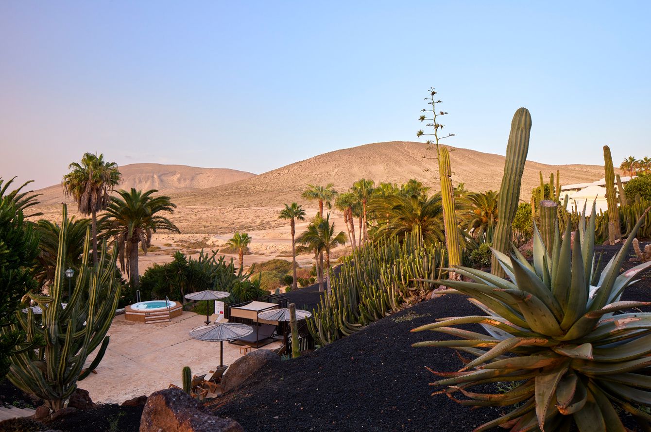 Paradisus by Melià Fuerteventura