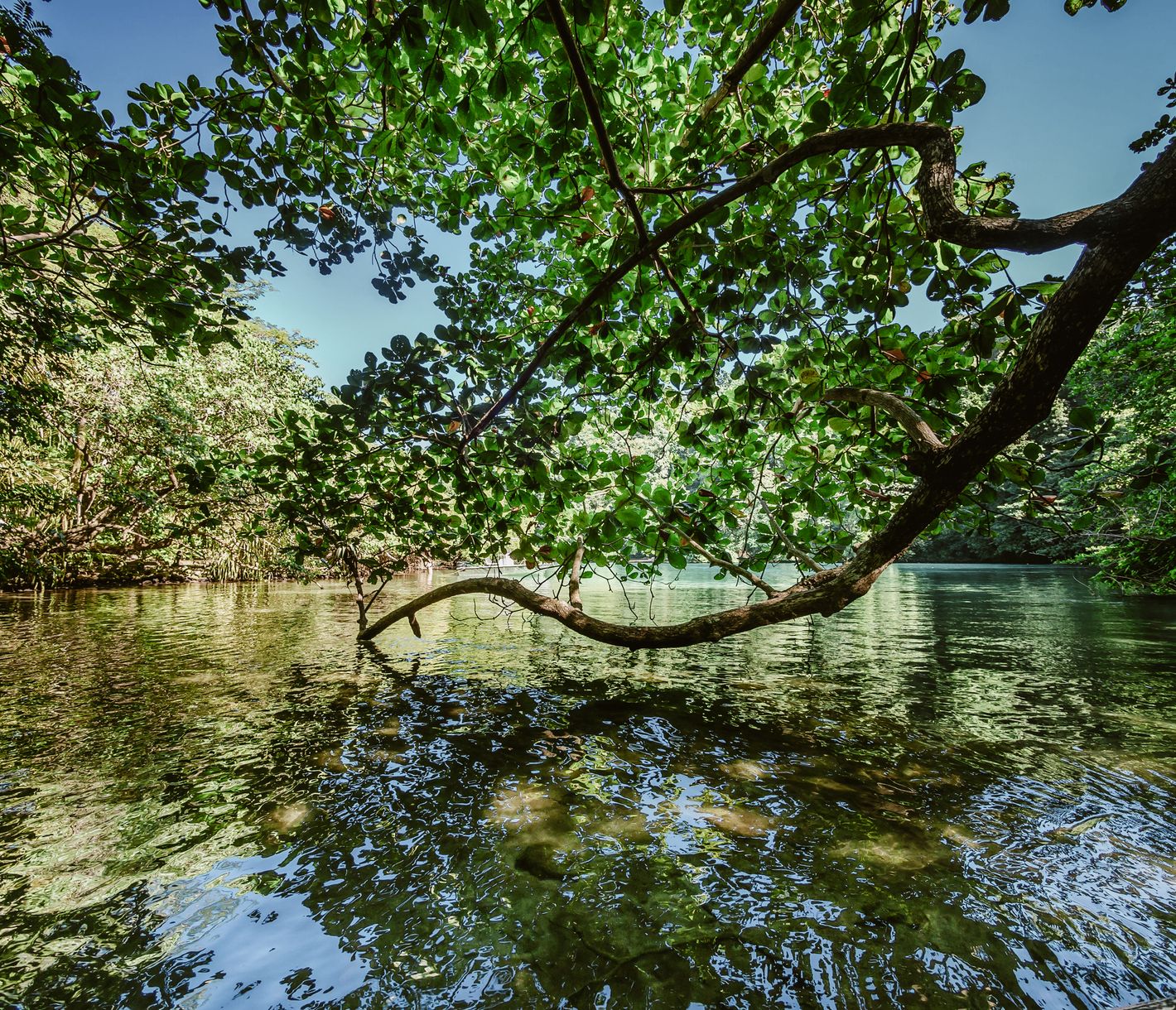 Ein echtes Highlight ist die 30 m tiefe Blue Lagoon, die blaue Lagune, bekannt aus dem Kino-Klassiker mit Brooke Shields.