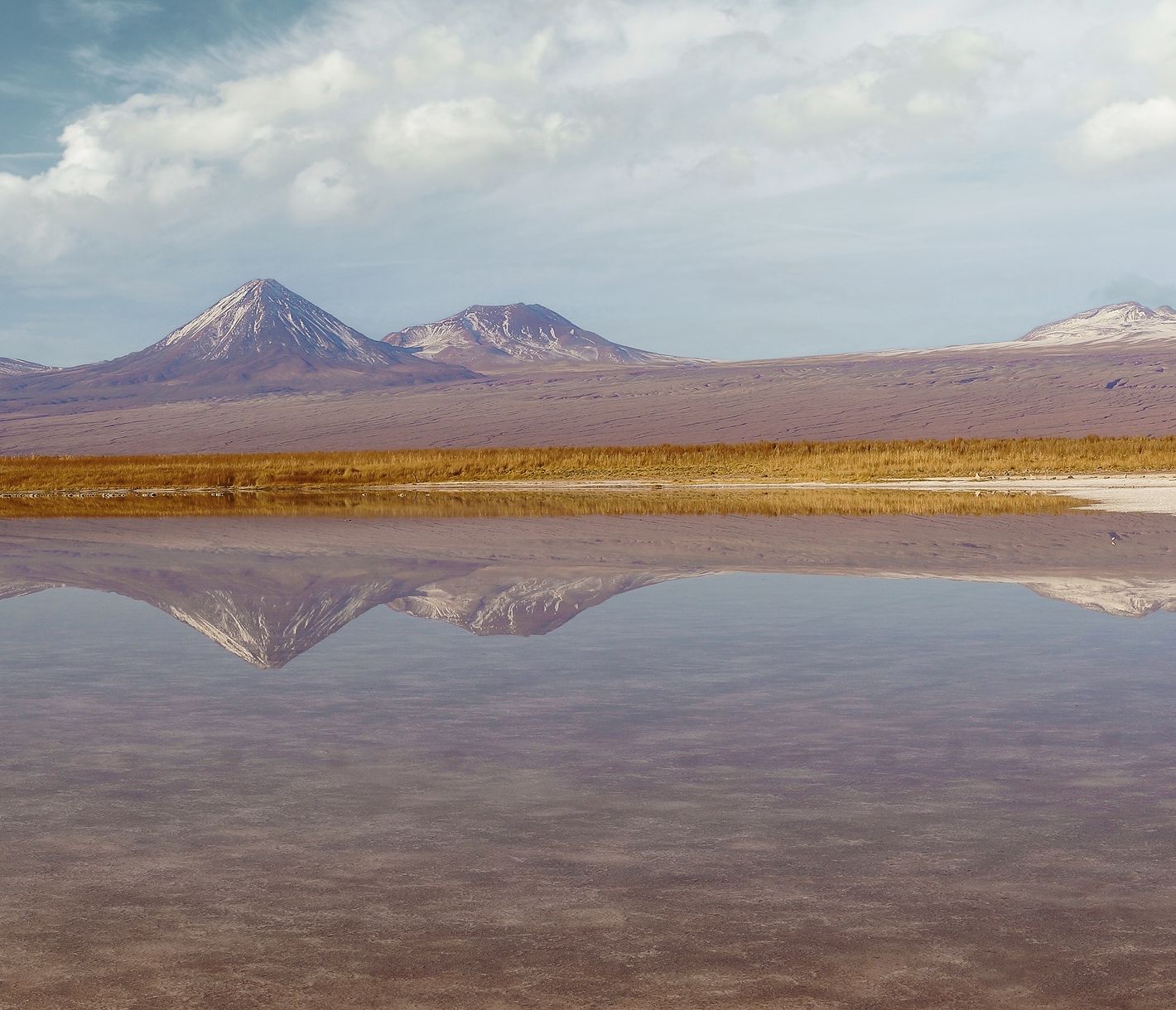 Lassen Sie sich treiben! Wüstenlagune mit extrem hohem Salzgehalt - die Laguna Cejar