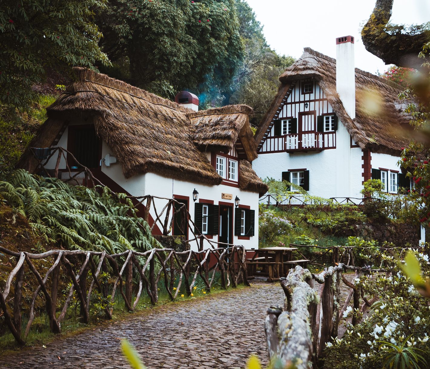Parque Florestal das Queimadas
