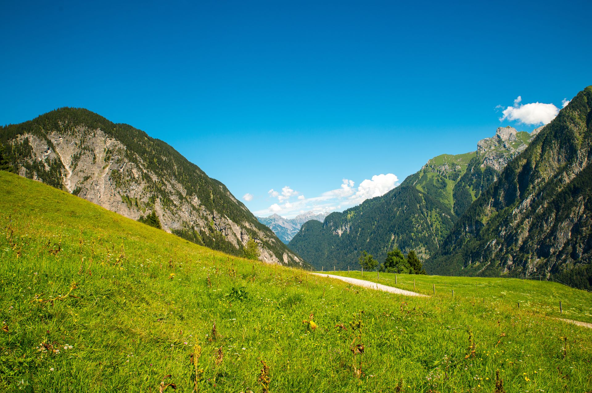 Sommer im Brandnertal