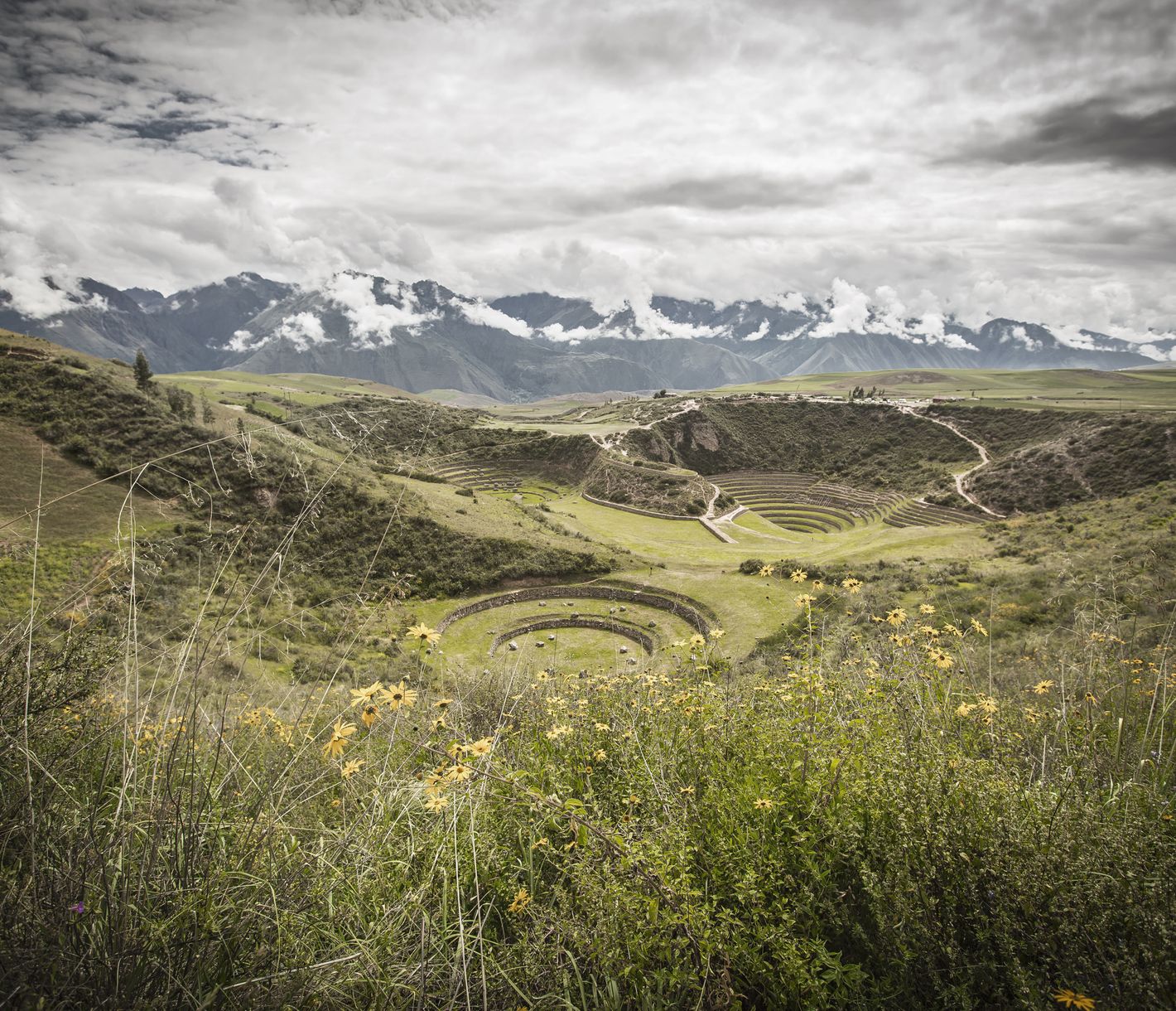 Des plantes tropicales à 3500 m d’altitude !
