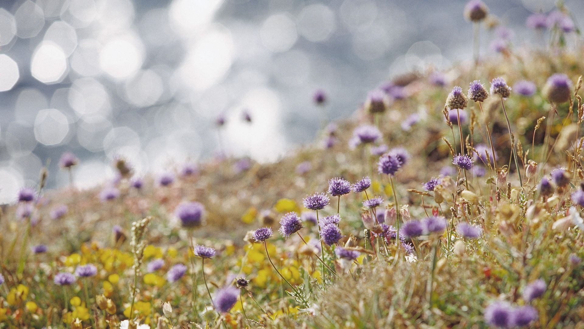 Eine Flora, die jeden grünen Daumen begeistert