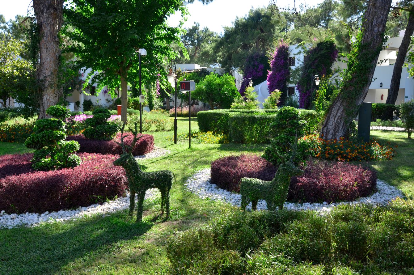 Gartenanlage