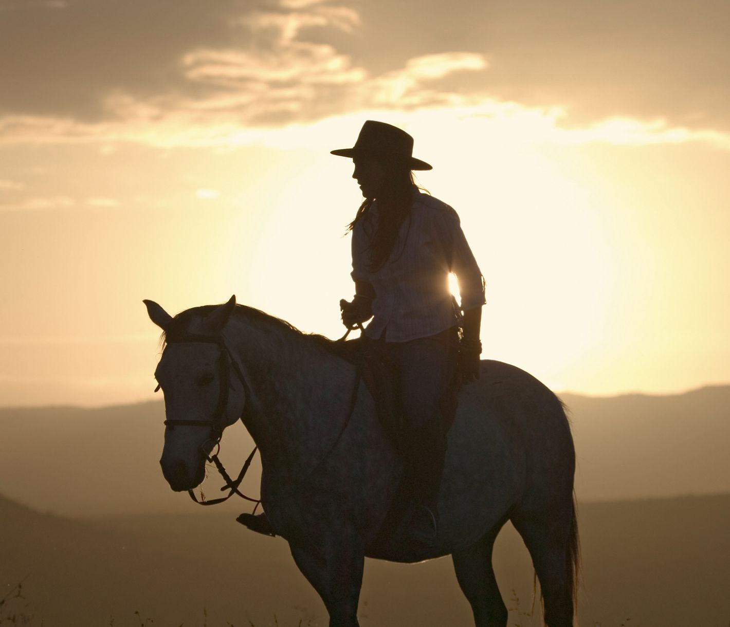 Safari mal anders: «Hoch zu Ross» im Ol-Pejeta-Reservat