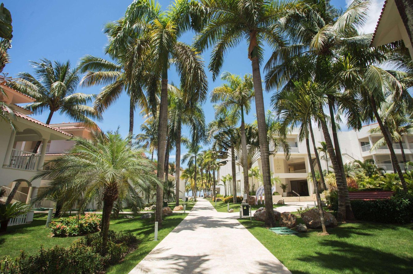 Jardin