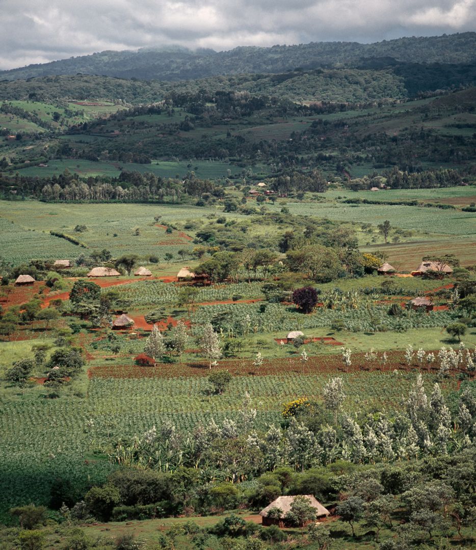 Karatu am Fusse des Ngorongoro-Kraters