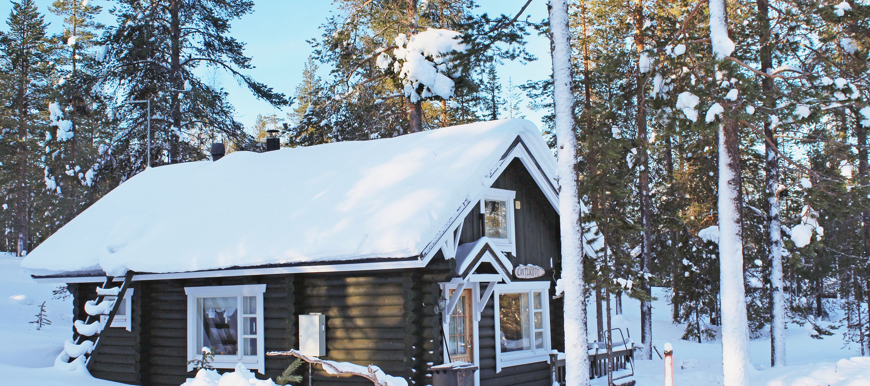 Im heimelig eingerichteten Blockhaus sind gemütliche Tage garantiert.