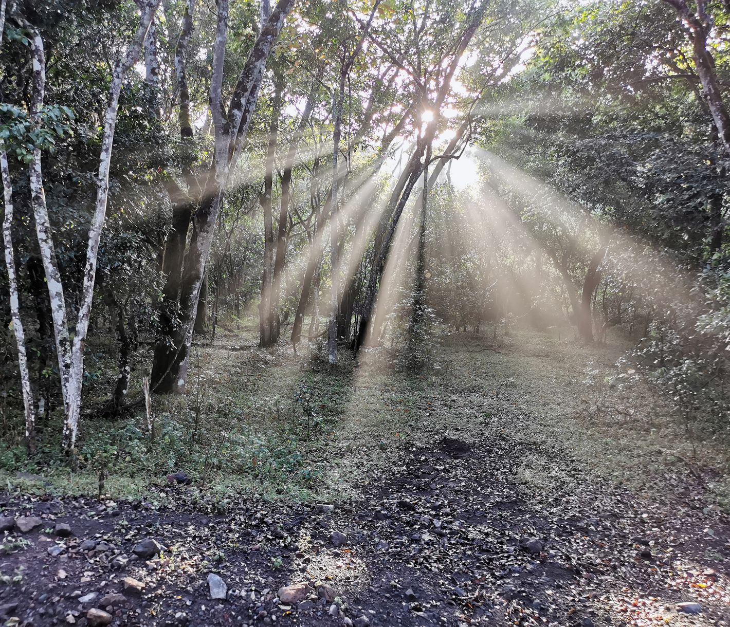 Vielseitige Landschaften im Arusha-Nationalpark