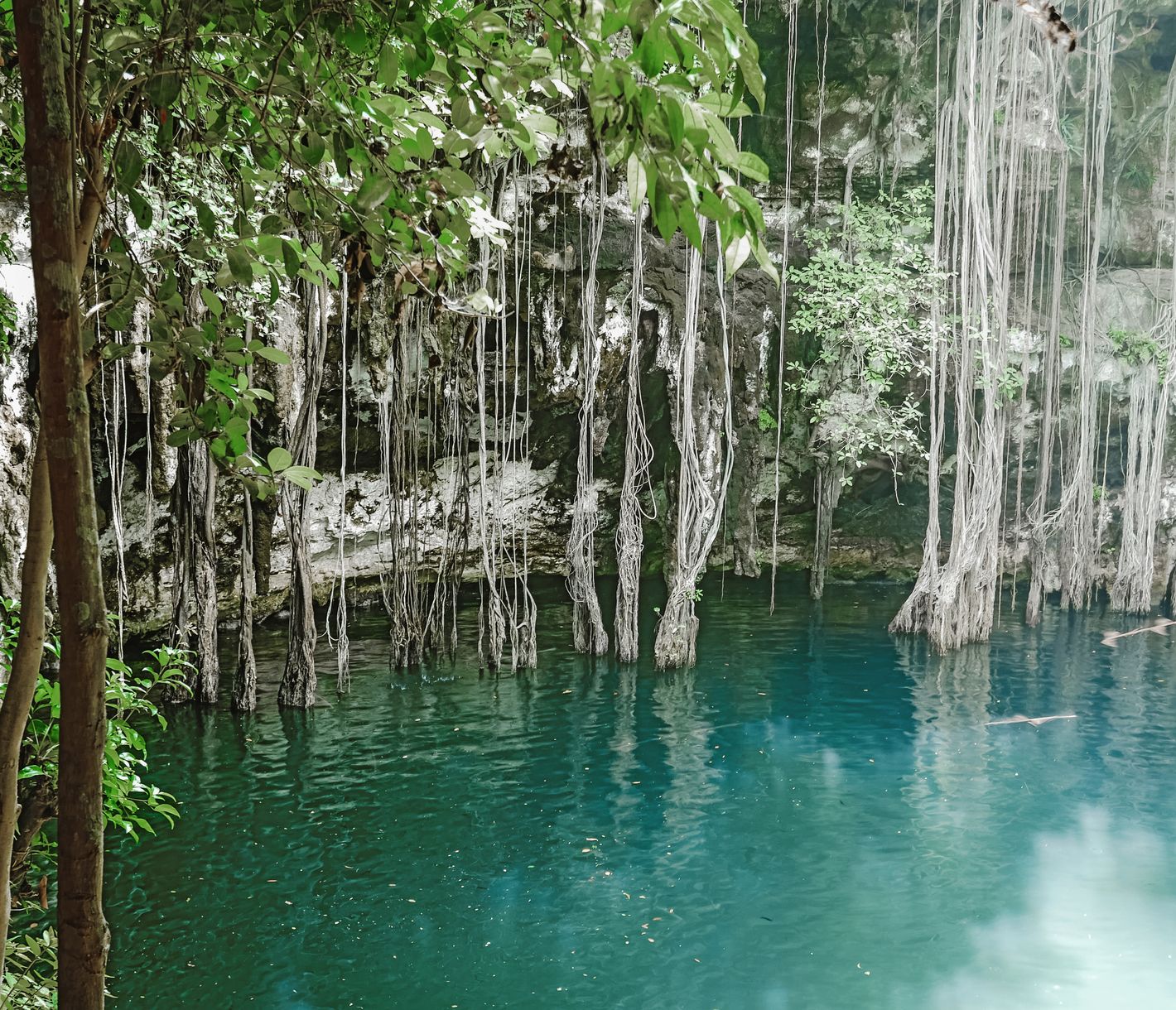 Der Cenote Yokdzonot ist einer der grössten Cenoten auf der Yucatán-Halbinsel