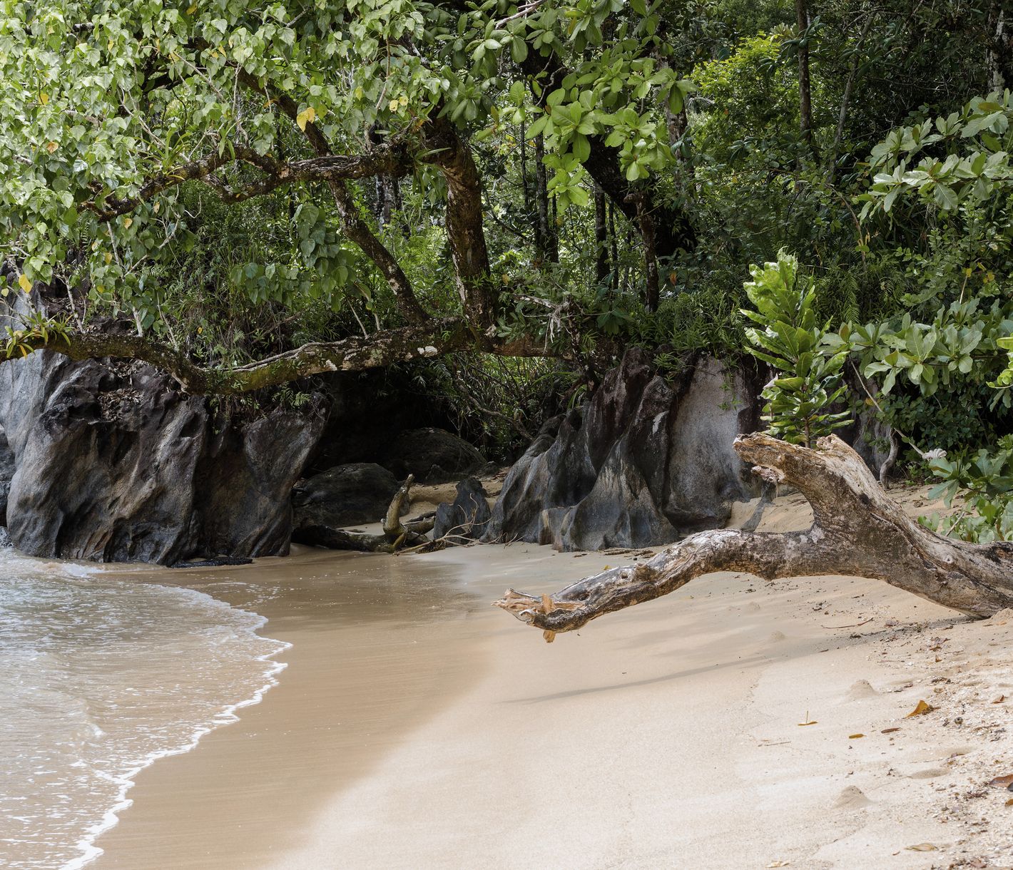 Auf der Masoala-Halbinsel grenzt der Regenwald direkt an Traumstrände.