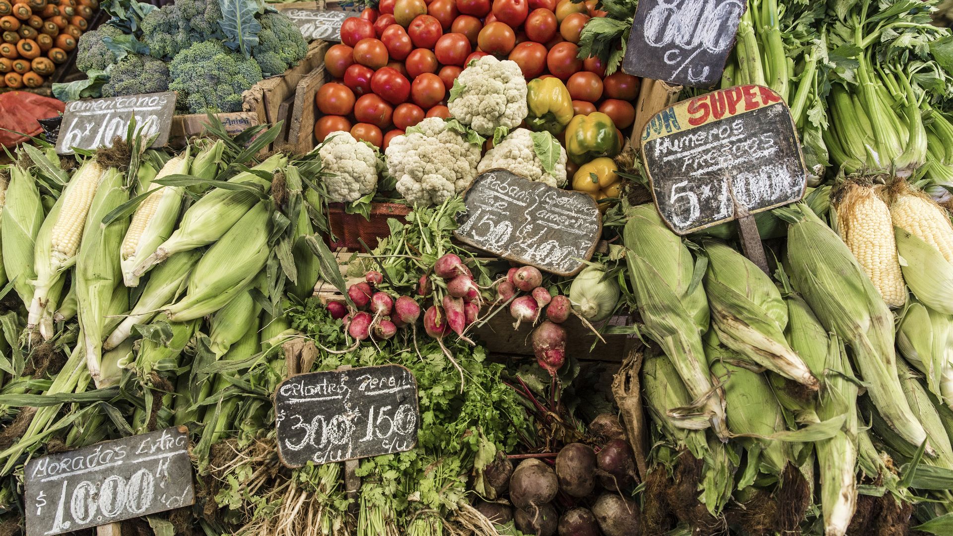 Valparaiso – Hafen- und Kulturstadt