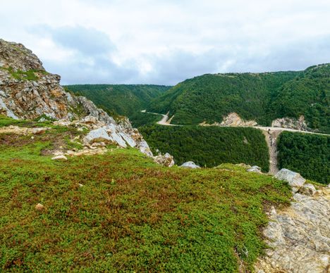 Wanderung auf dem Skyline Trail