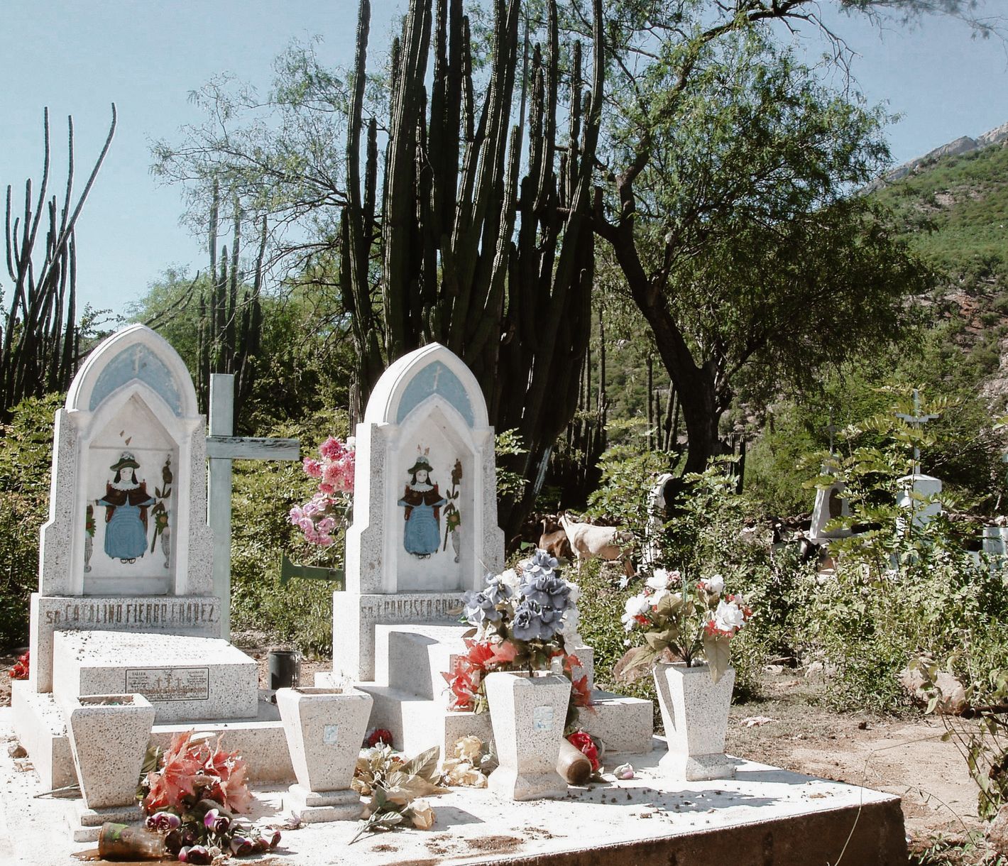 Ein Ort des stillen Gedenkens