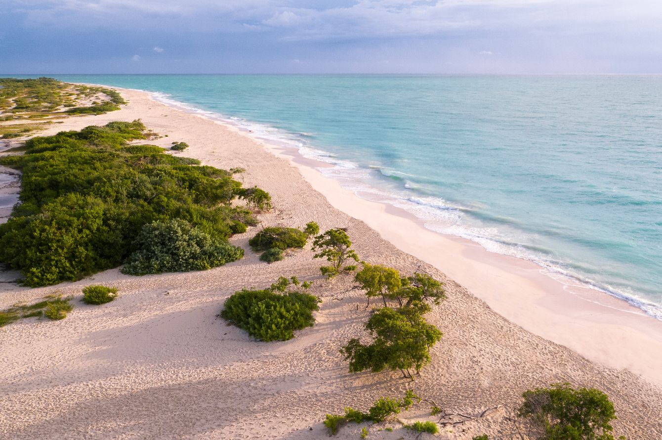 Strand