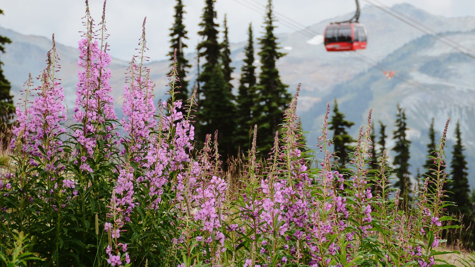 Mit der Gondel ins Abenteuer abseits der Wintermonate