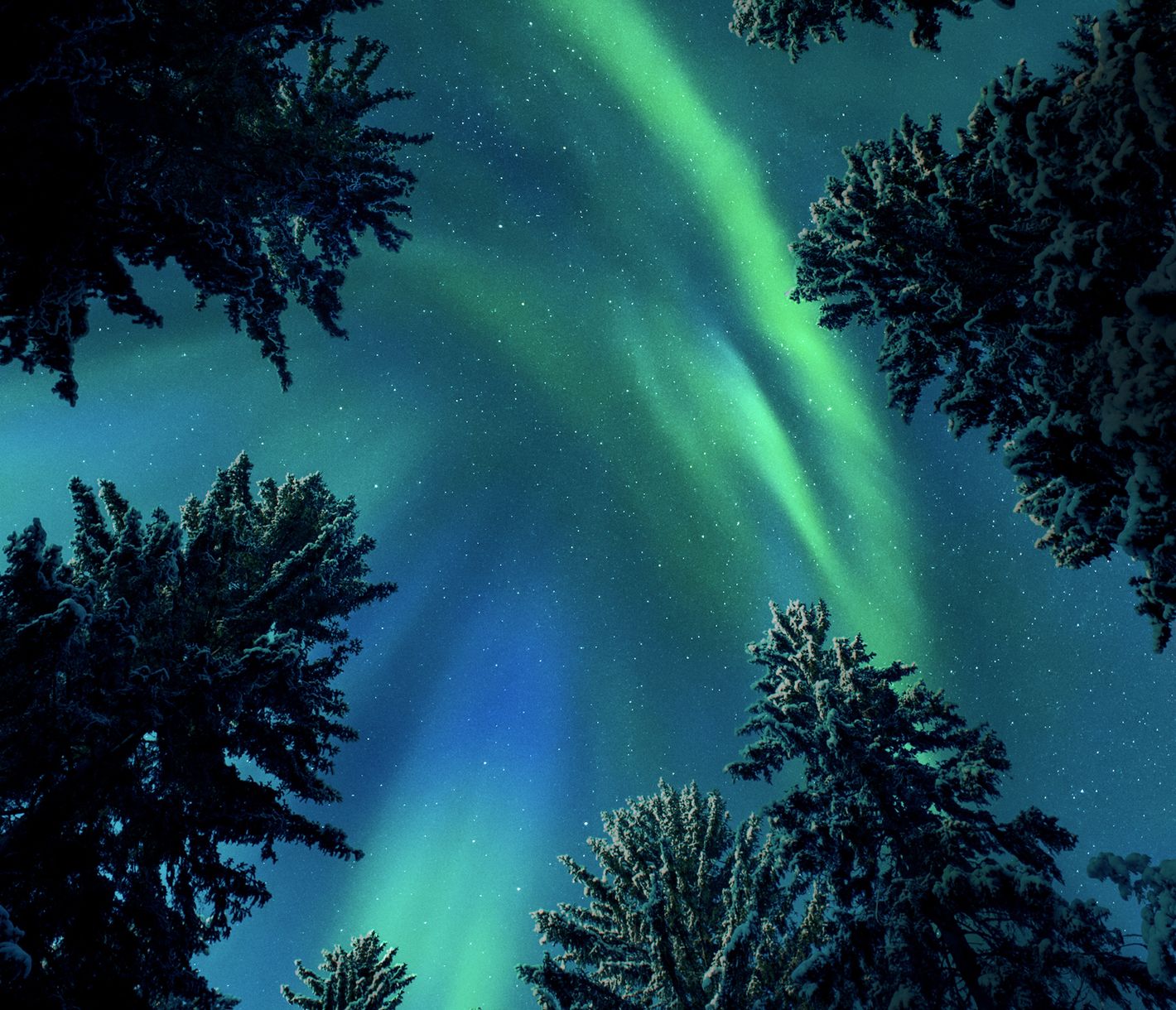 Das Nordlicht – eine naturwissenschaftliche Faszination!