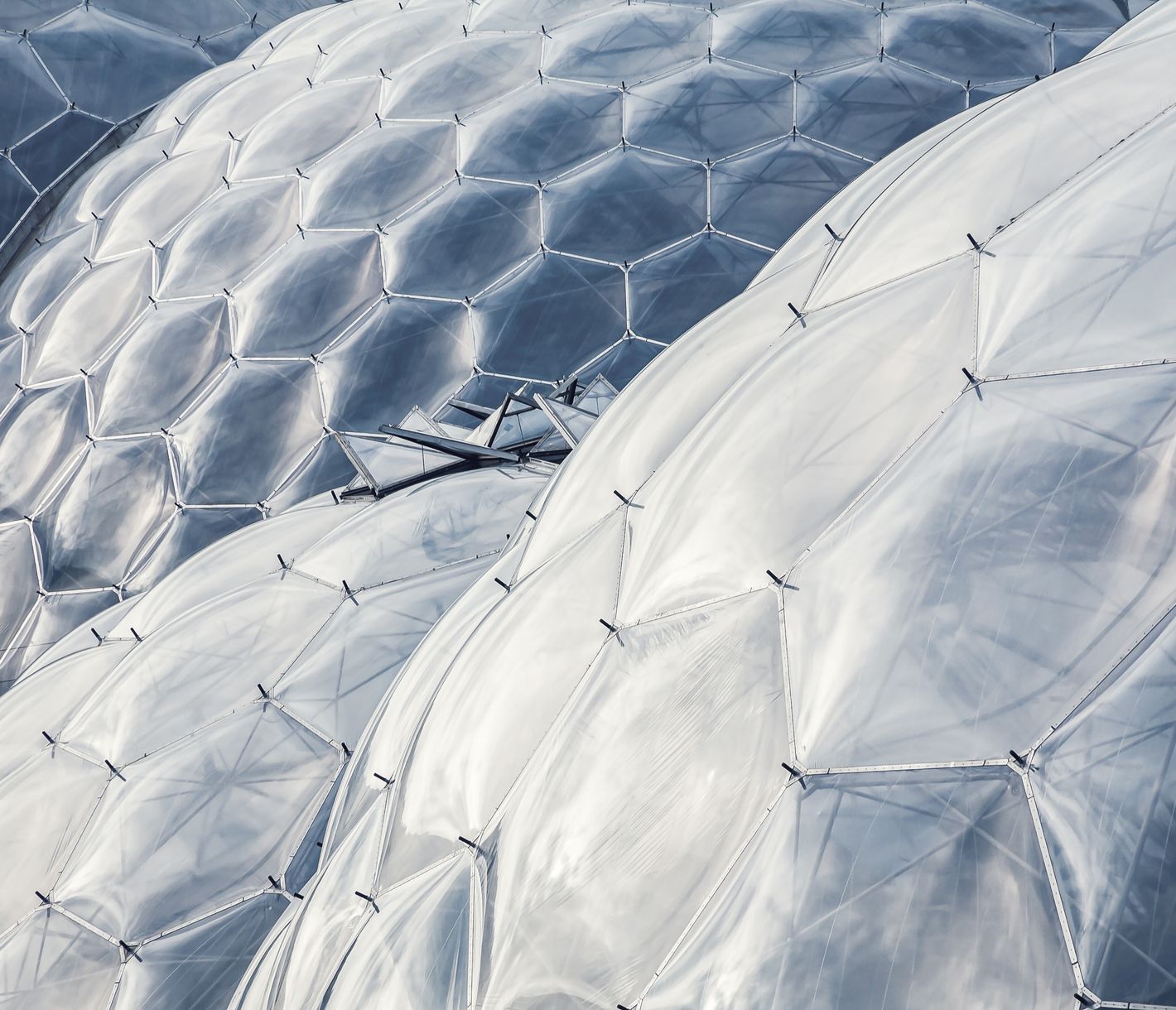 Was sich wohl in diesen futuristischen Bienenwaben befindet?