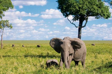 6. Bild der Rundreise