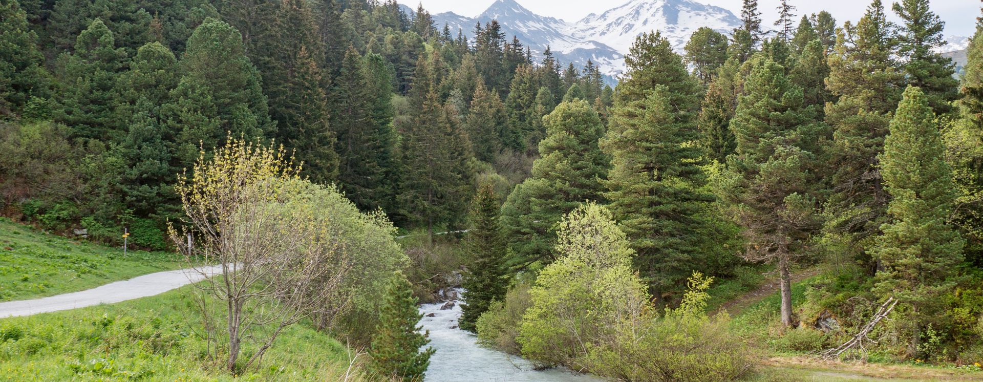 Naturreservat Plan de la Tuéda