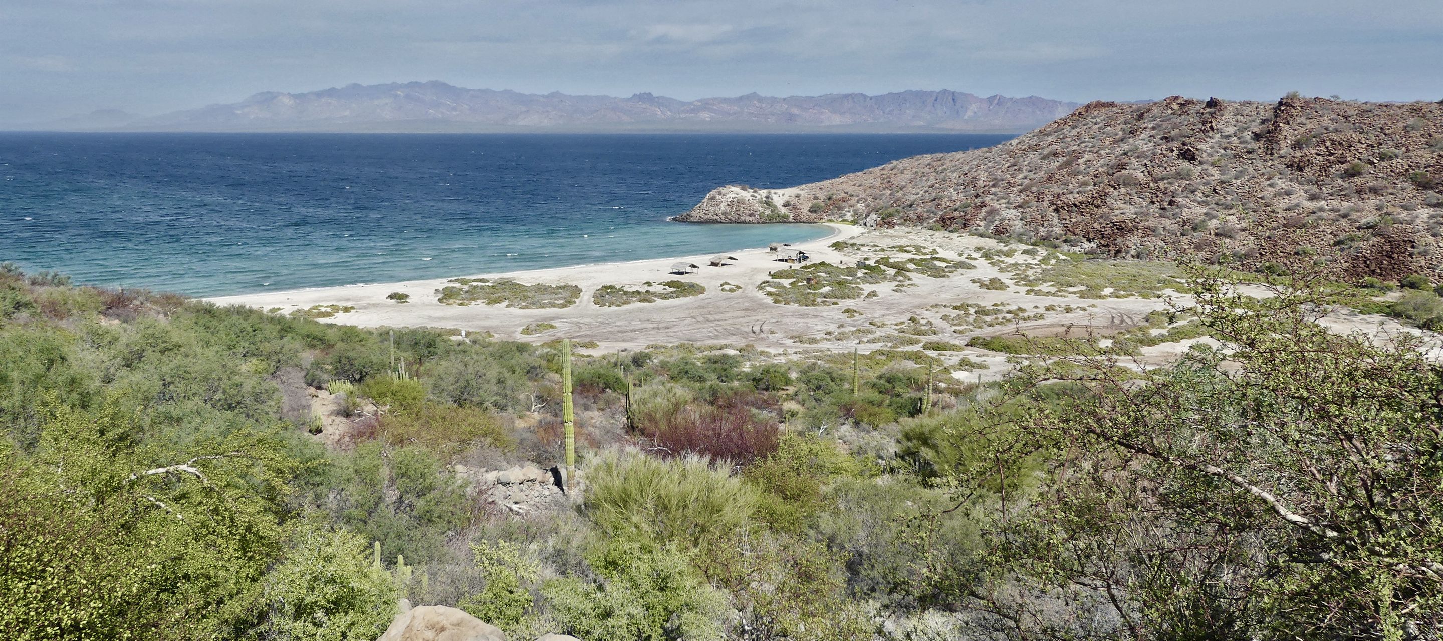 Au fil de la superbe Bahía Concepción, entre mer et désert