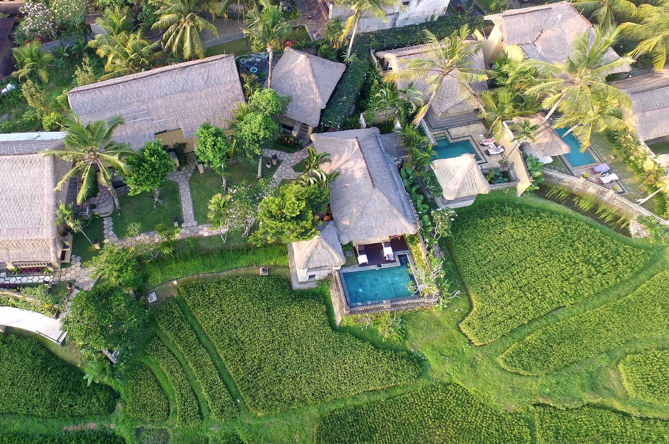Wapa di Ume Ubud