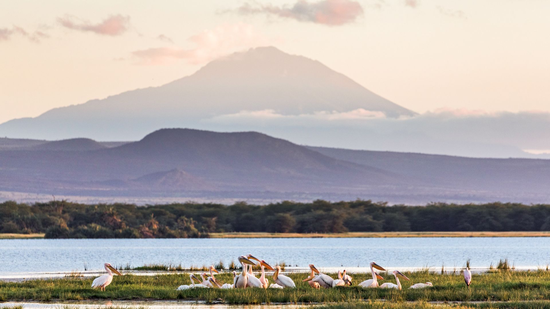 Blick über den Amboseli-Sumpf zum Mount Meru in Tansania