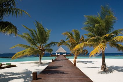Coco Bodu Hithi