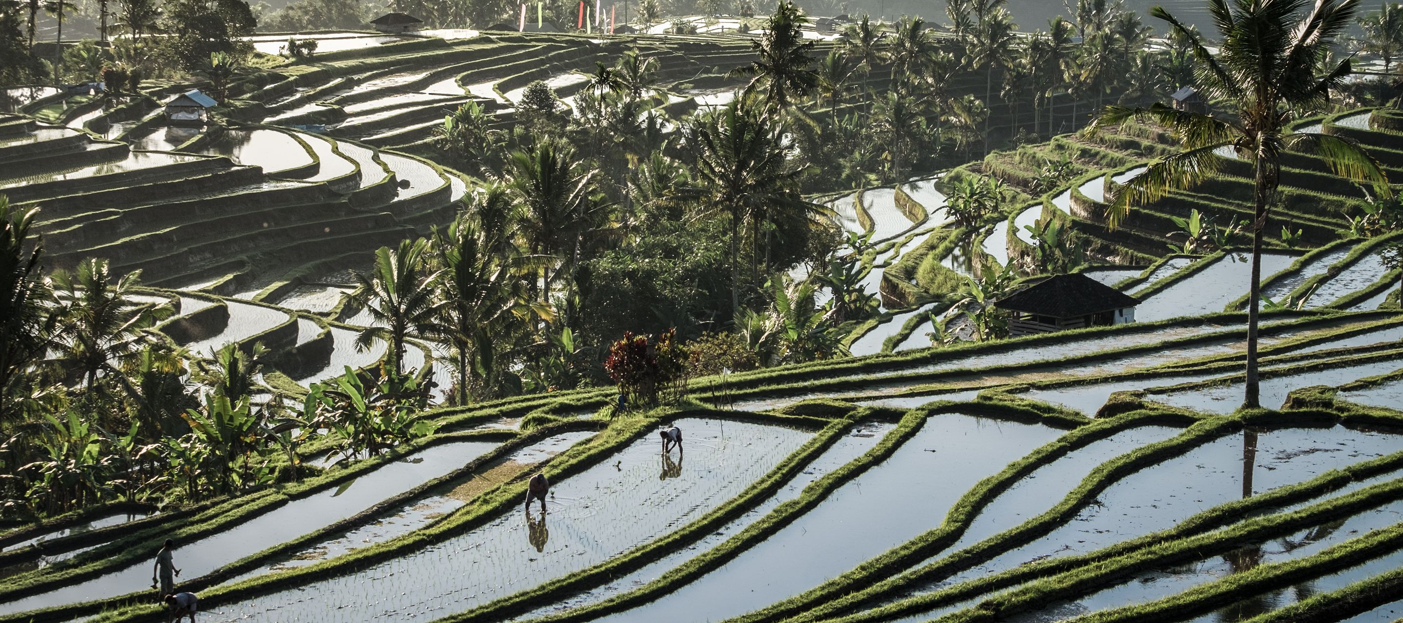 Balis Himmelstreppen