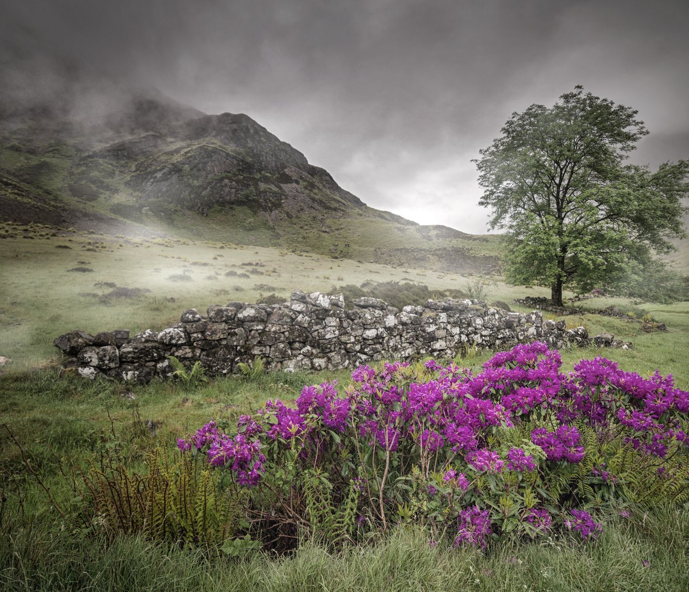 Glencoe – das Tal der Tränen