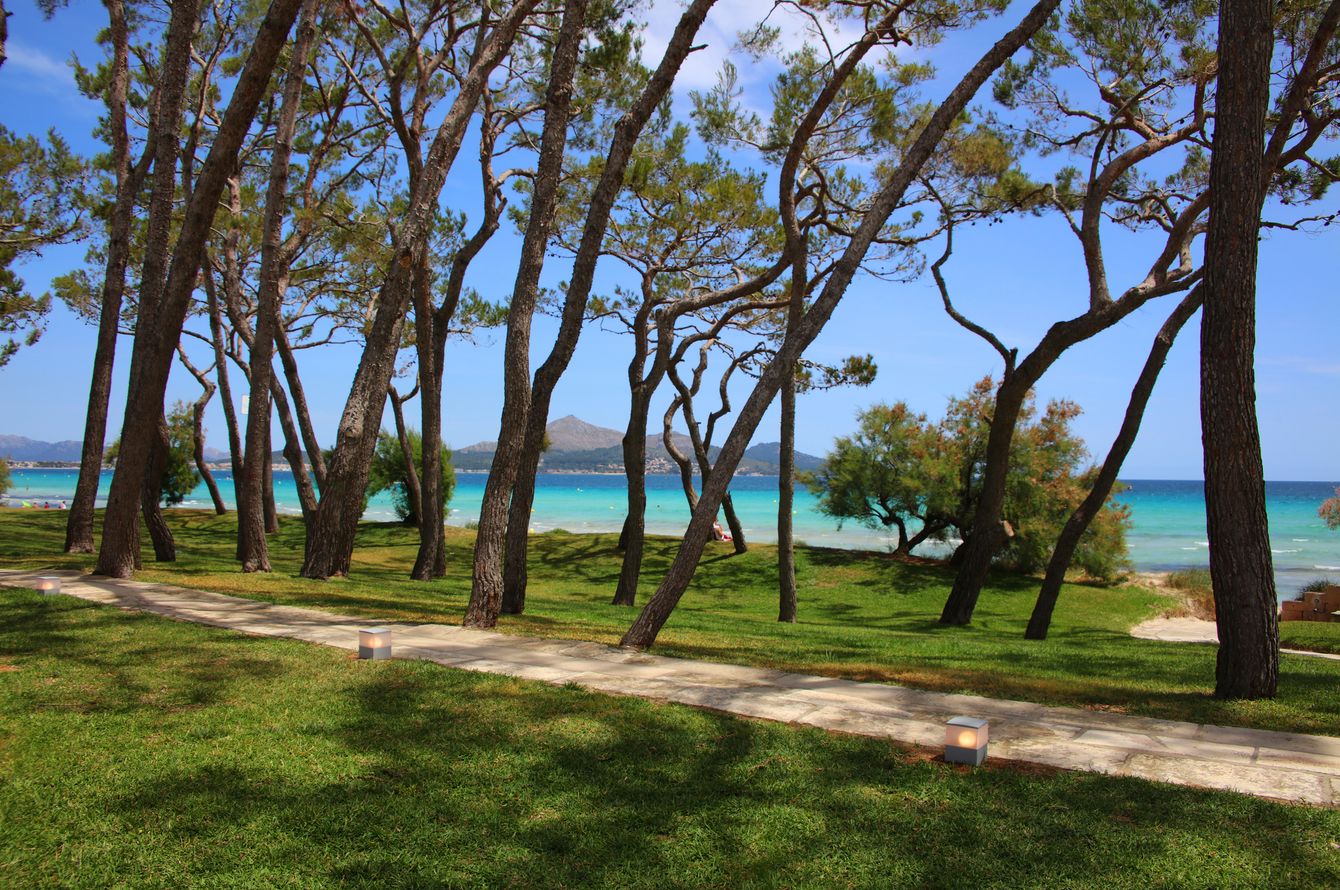 Iberostar Playa de Muro