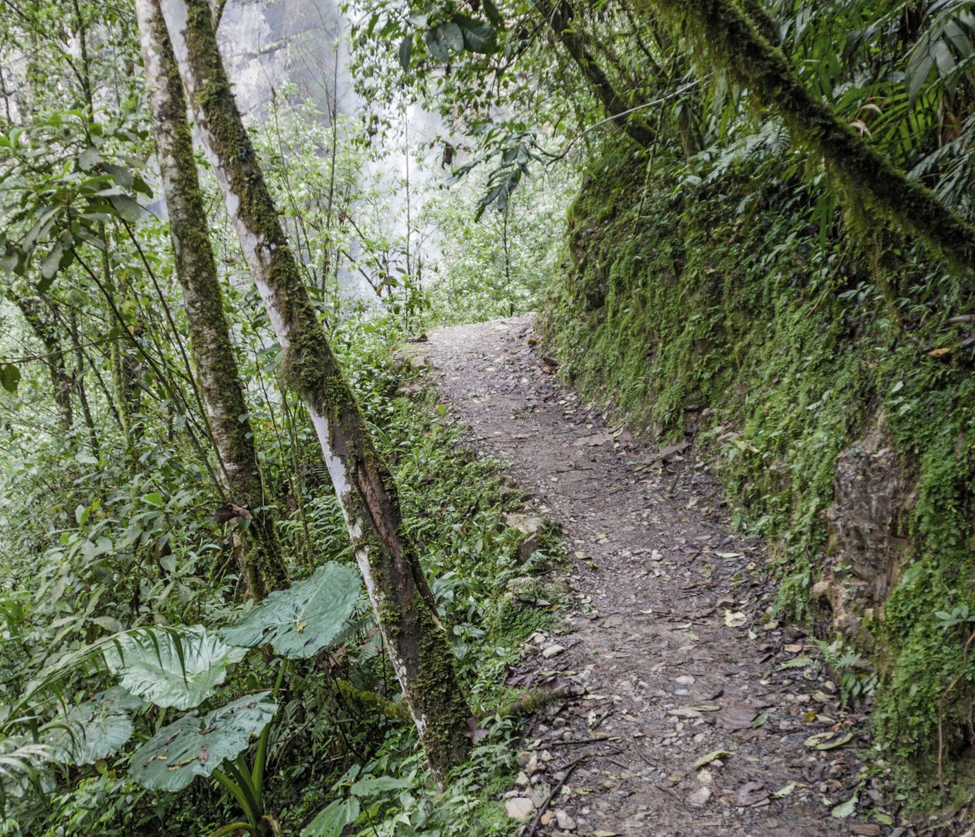 Auf dem Weg zum imposanten Gocta-Wasserfall