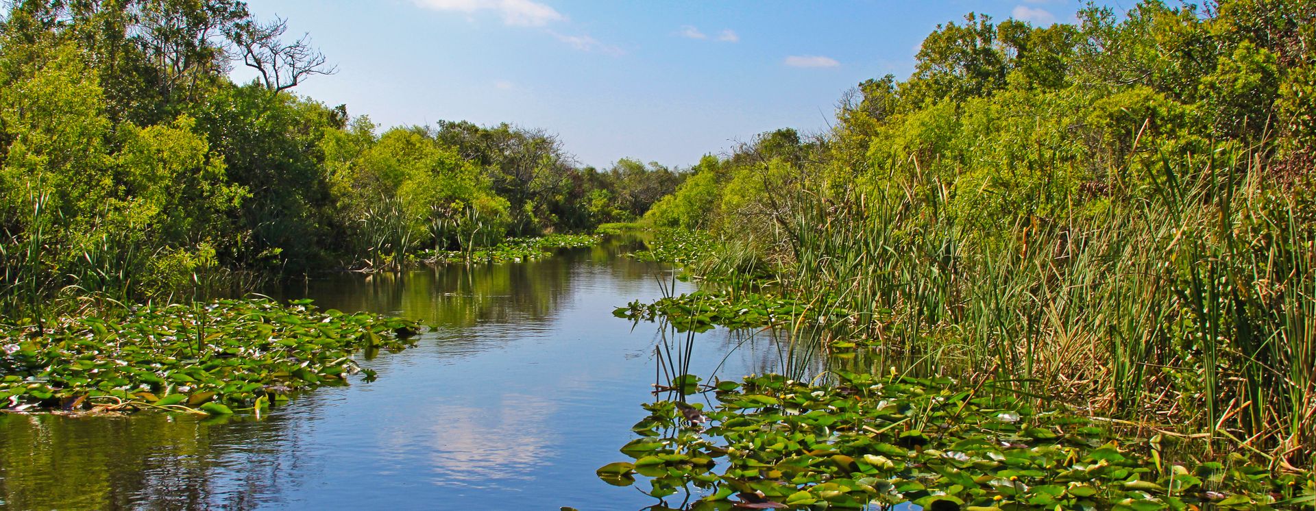 Everglades