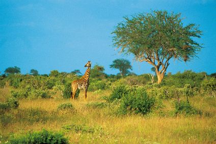 4. Bild der Rundreise