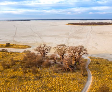 Safari auf einem ehemaligen Binnenmeer, das einst 80'000 km² umfasste.