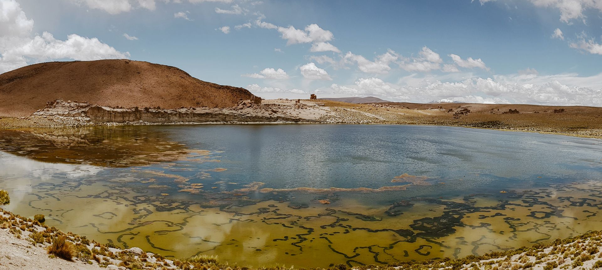 Balade autour de la lagune Turquiri
