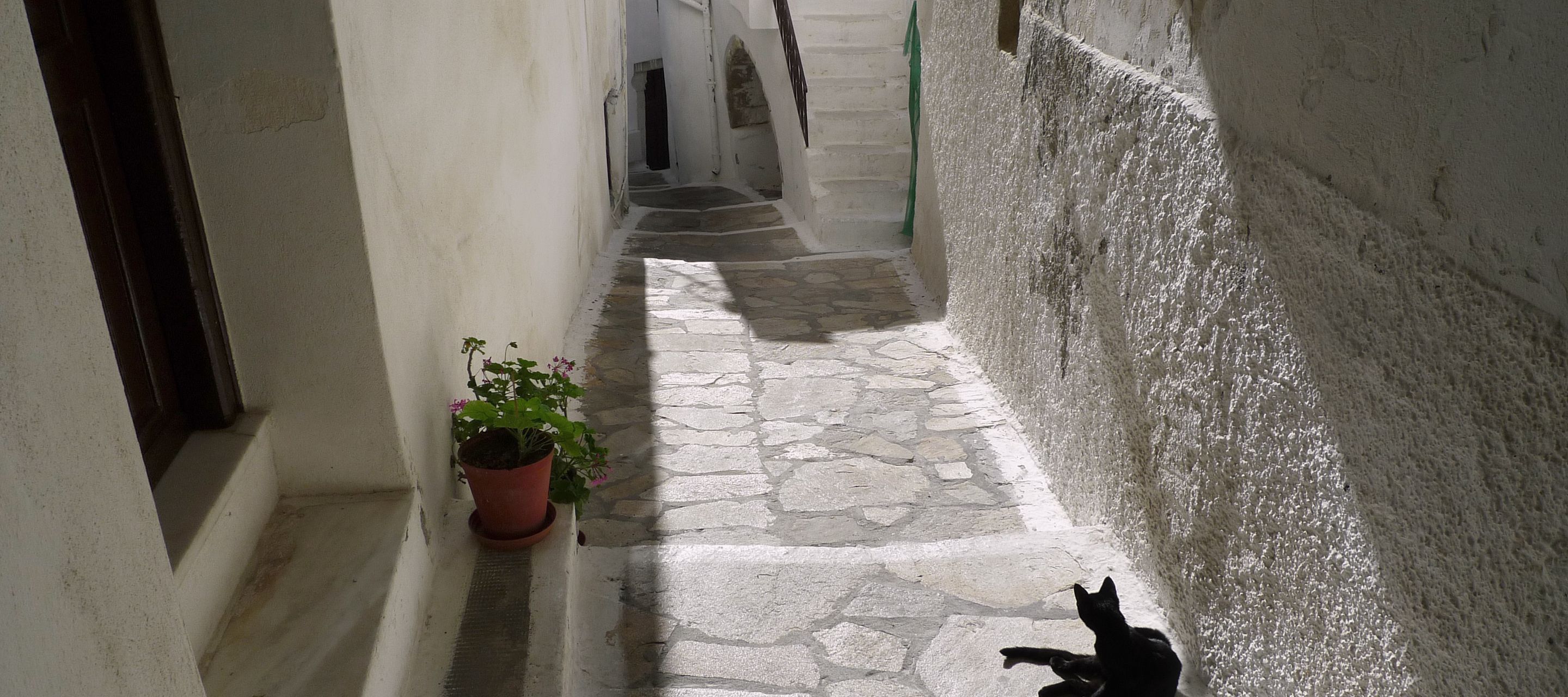 Siesta für alle in den Gässchen von Naxos-Stadt