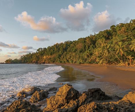 Le Corcovado, un joyau naturel qui abriterait plus de 2.5% de la biodiversité mondiale.