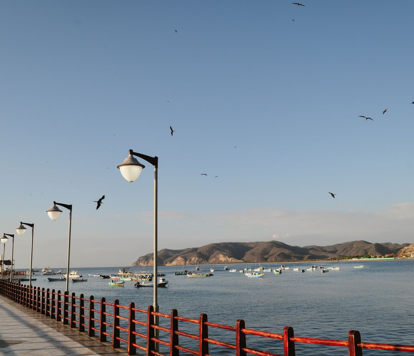 An der Küste angekommen